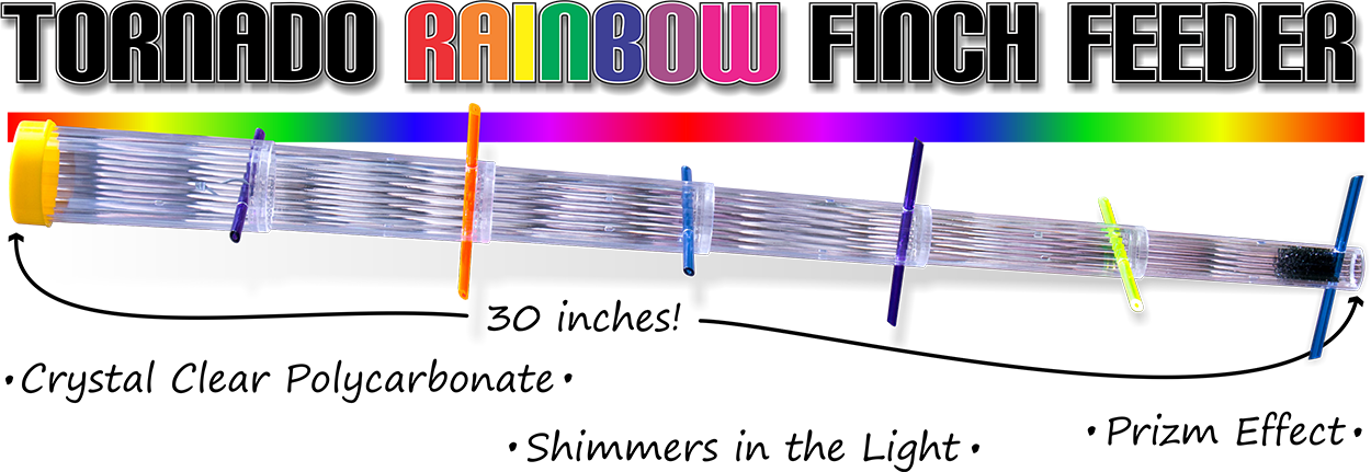 The Tornado Rainbow Finch Feeder